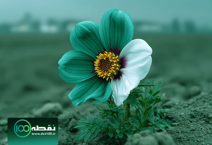 دوره تمرکز عمیق